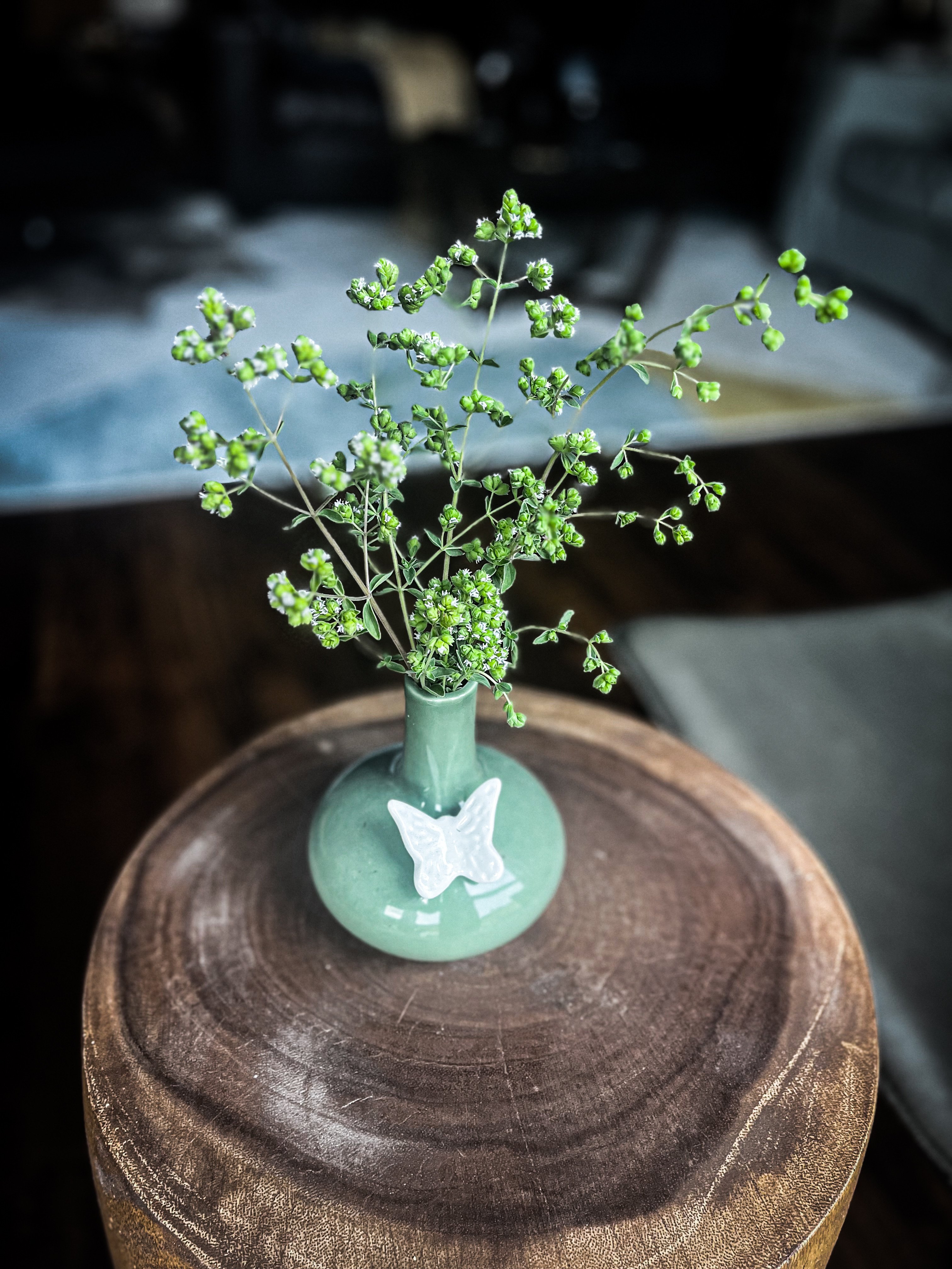 F44B24F7-ACD9-4275-96FF-A7443AC0189A