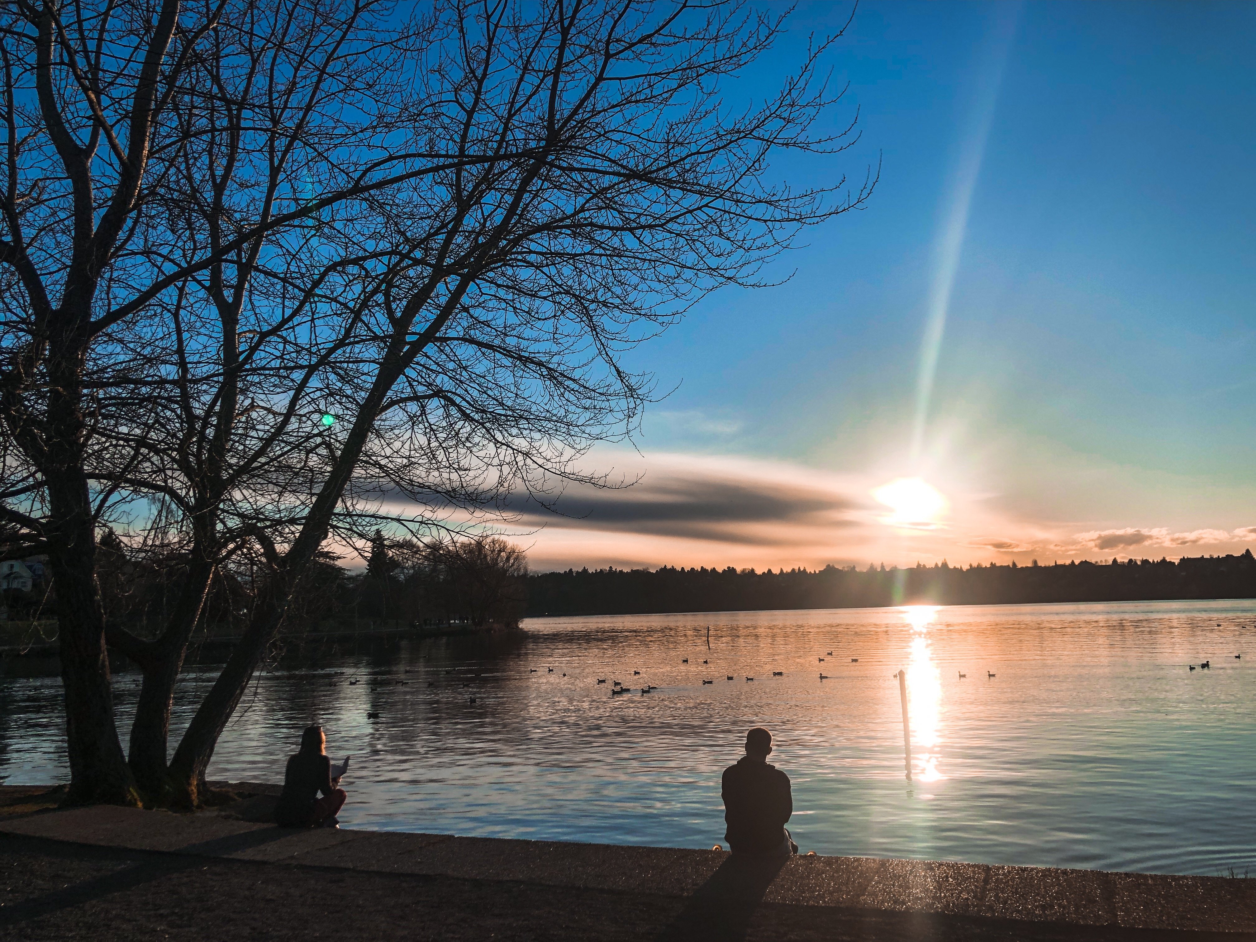 FA109818-5E11-433A-A70B-AD7497E66E32