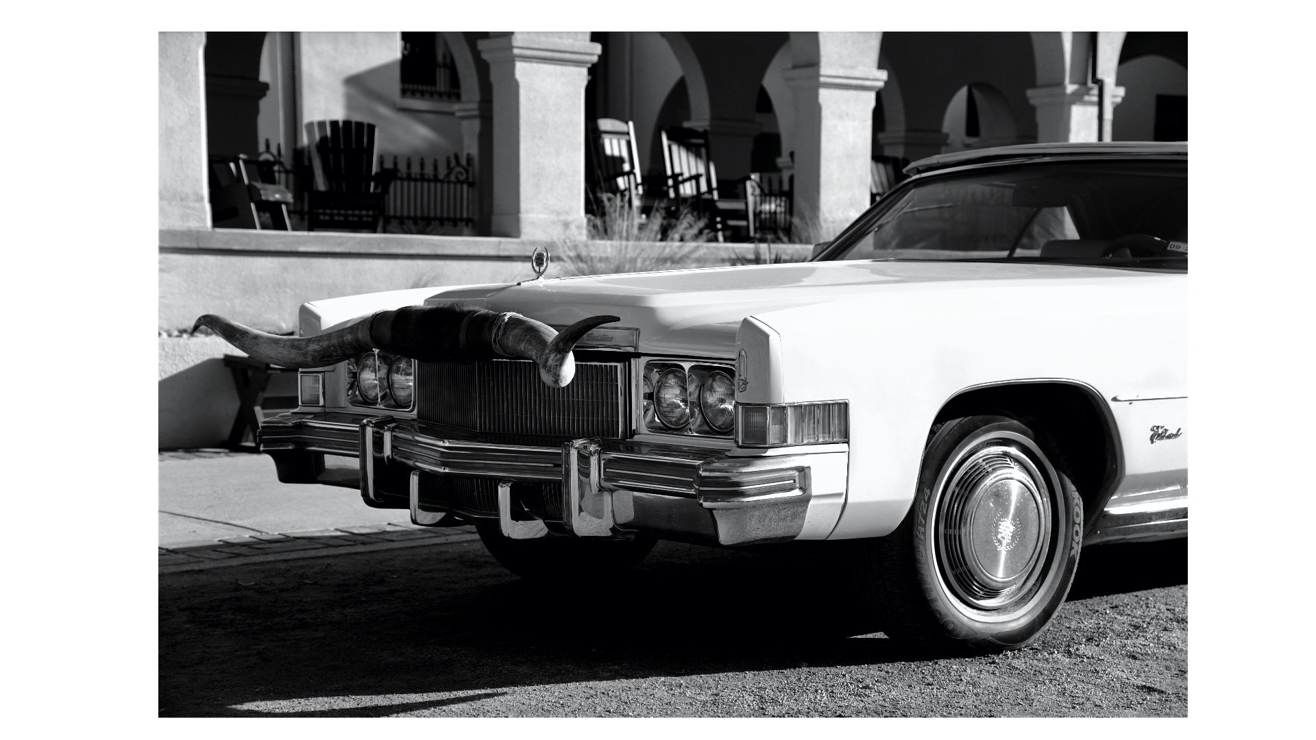 Image 3-3-25 at 9.55 AM